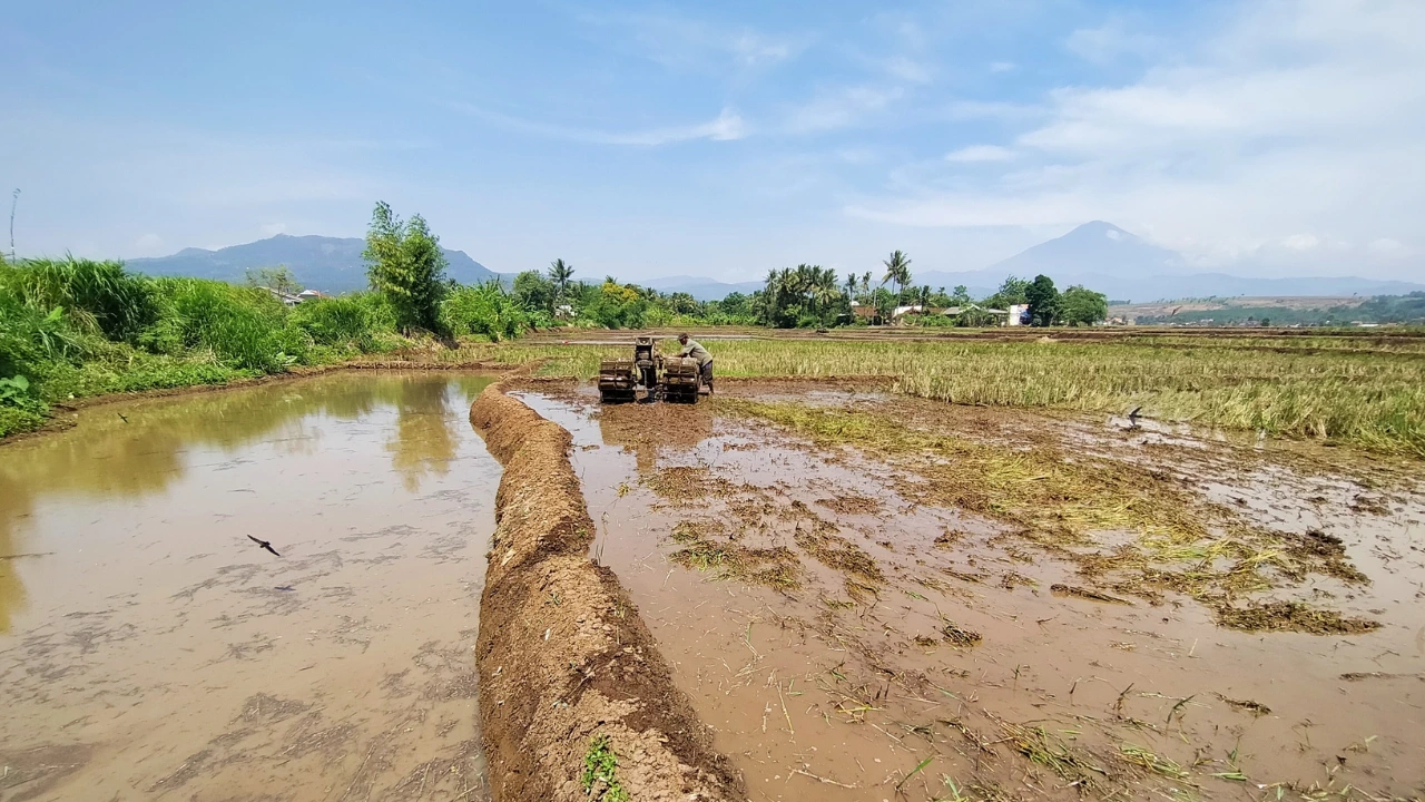 Bagaimana Penyelesaian Sengketa Tanah Garapan?